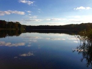 IMG_5013