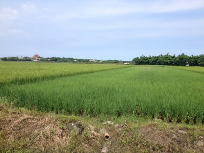 2015-06-08 14.18.46_調整大小