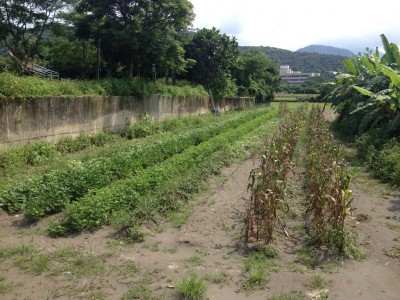 岳明2015-06-08 14.05.24_調整大小