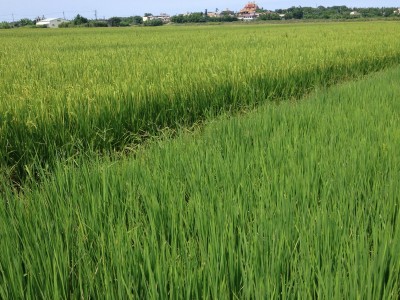 岳明2015-06-08 14.20.11_調整大小