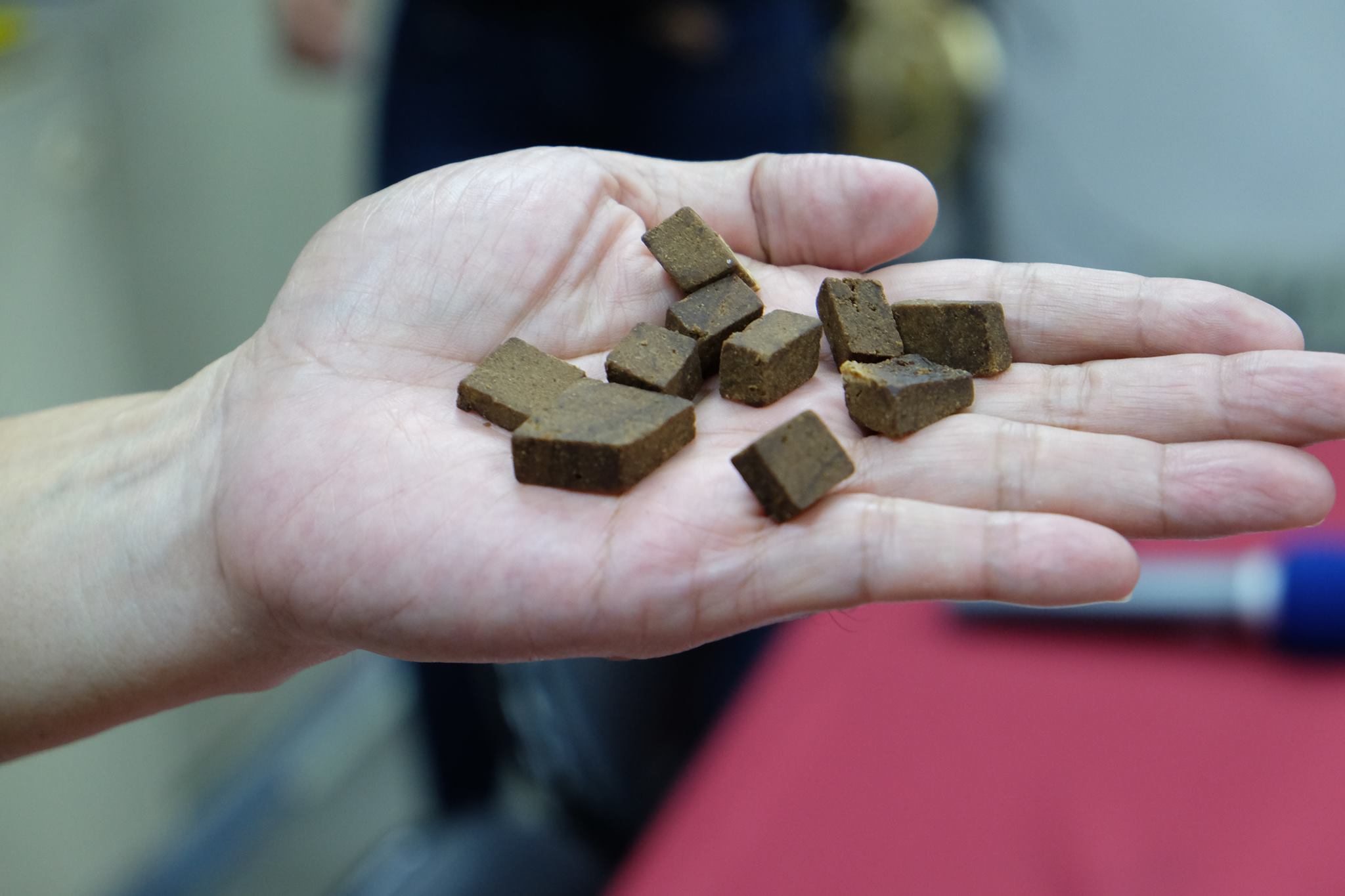 消基會調查市售八仙果鈉含量過高一天吃10顆就超量| 上下游新聞