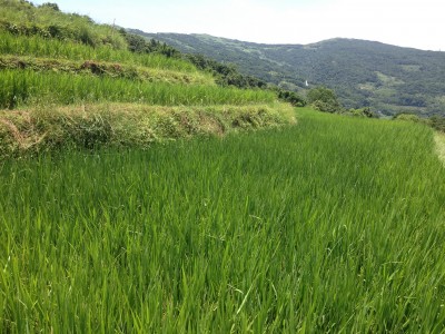 IMG_6373_調整大小