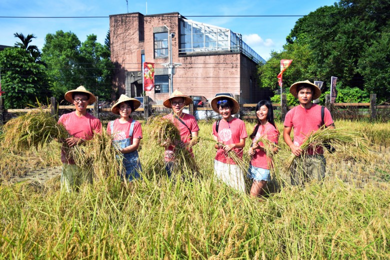 由農學院學生組成米滿團隊，實地到產地了解「鹿鳴米」的生產過程，希望藉創立品牌為農民打開通路。（攝影／潘子祁）