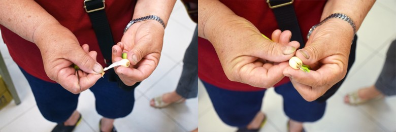 蓮子最費工的就是去膜（左）和去芯（右）。（攝影／潘子祁）