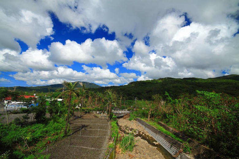 美麗的雨來菇農場（圖片提供／里山生態有限公司）