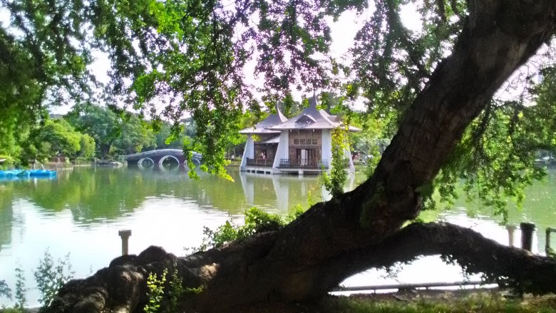 P_20150801_082708_HDR