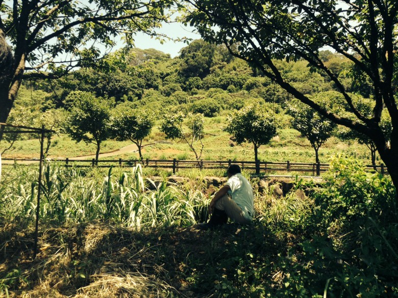 杨叔叔的有机农田，紧邻三芝大坑溪和三生步道。这里水流清新、环境生态丰富。