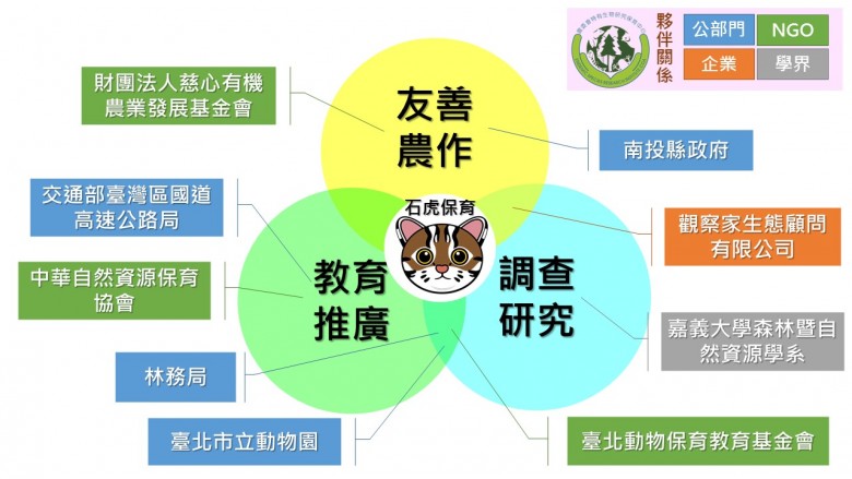 農委會特生中心推廣石虎保育，集結公部門、NGO、企業與學界之力。（圖片提供／農委會特生中心）