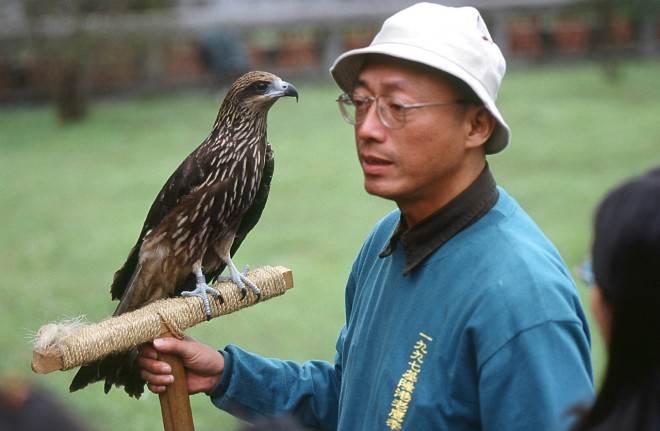 老鷹先生沈振中（圖片提供：社團法人台灣猛禽研究會）4