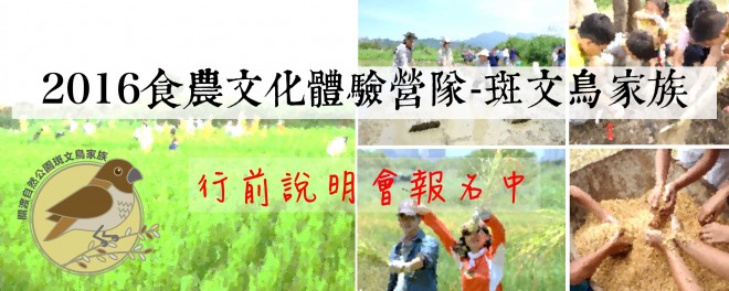 2016斑文鳥大圖