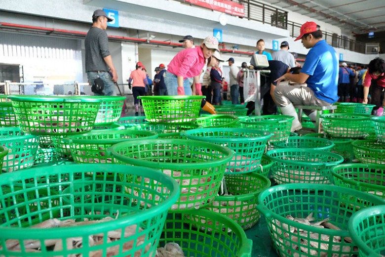 梓官魚市場全台第一個通過HACCP認證，實施魚貨不落地.