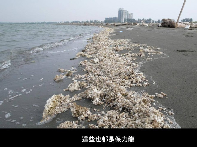 台南沿岸的保麗龍碎屑。（圖片提供／台南社大）