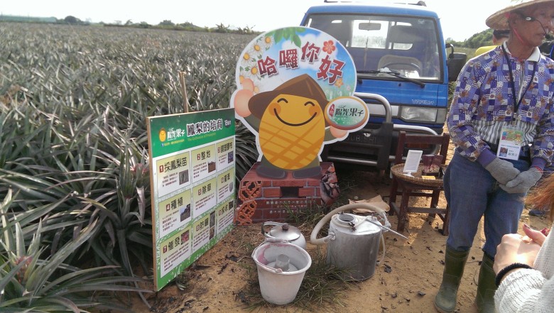鳳梨農巽宗叔