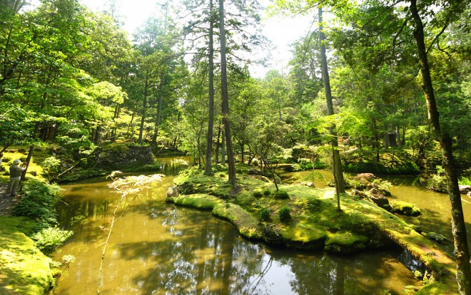 日本的西方寺又有苔寺之稱。(photo by kevinfu619 @ flickr)