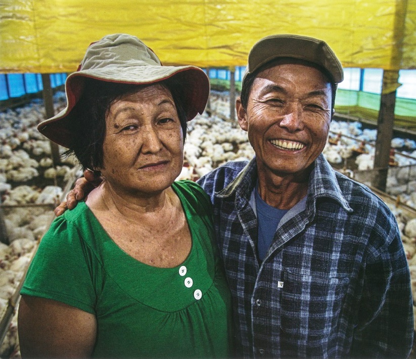 在巴西白肉鸡产业发展过程中,外来移民扮演重要角色,有为数众多的日本