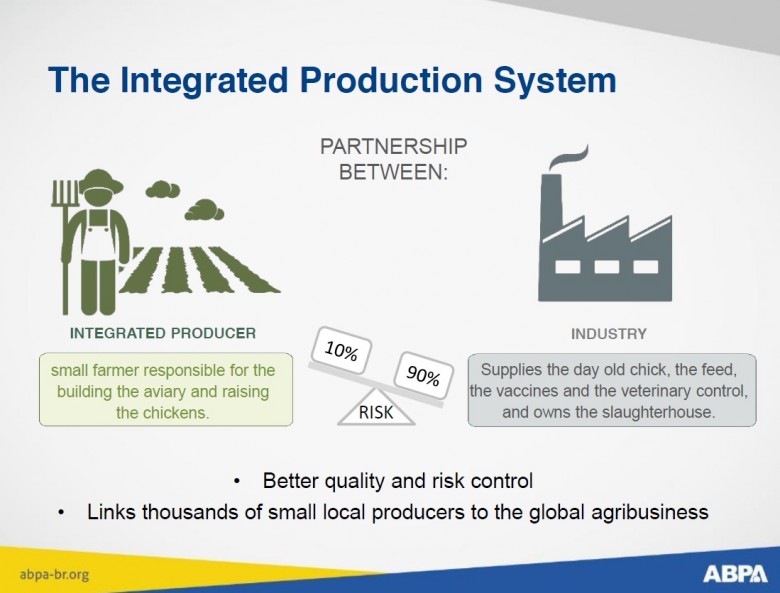 巴西白肉雞整合生產體系建構家庭農場與農企業的夥伴關係，整個產業鏈風險管理中，農民只要負擔10%責任，農企業90％。（圖/ABPA提供)