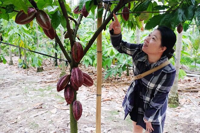 屏東縣內埔文化促進協會總幹事黃琬倫