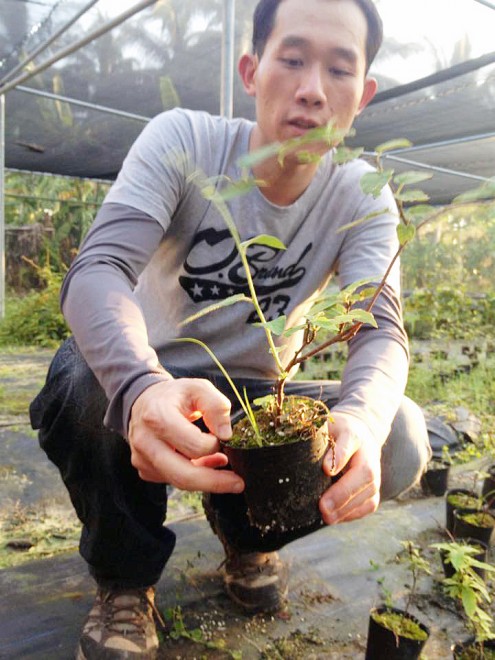 畢業4年多，吳典祐除自己栽植外，仍想到處推廣獼猴桃。（圖／吳典祐提供）