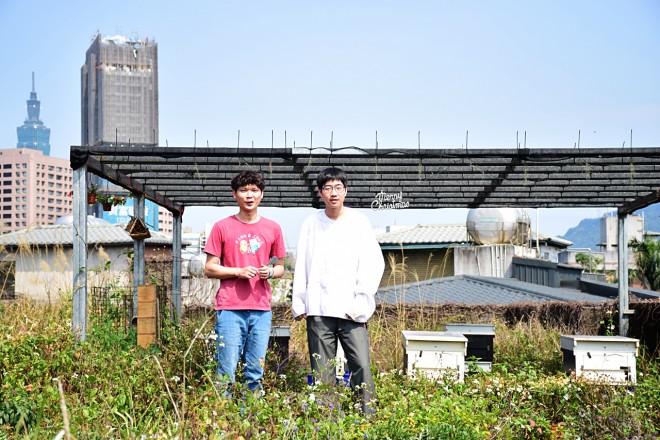 在可以看見101的台北市大安區，一座小小花圃便能養蜂。（圖／潘子祁攝）