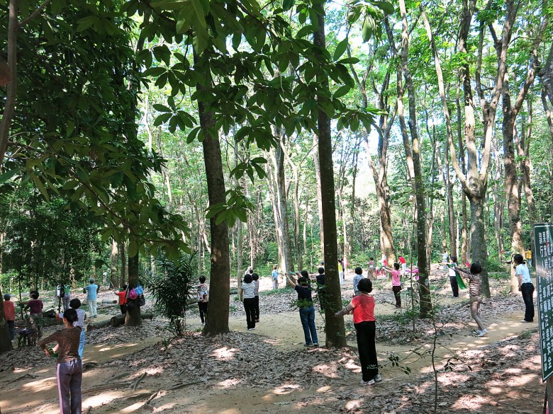 每個整點都有不同、固定的民眾在園內進行踩踏，即便颱風天也風雨無阻。（圖／中埔研究中心提供）