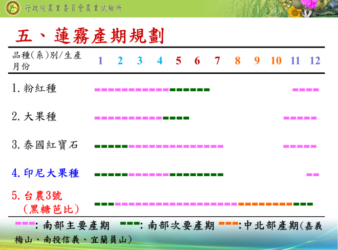 根據農試所統計，目前國產蓮霧在7到10月為供應量較不足的時段，而黑糖芭比正好可以補足。（圖／農試所提供）