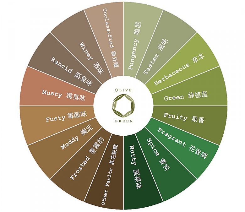 橄欖果實品種和製造加工等程序會有正面和負面氣味，此圖為較為概略的分類，每個細項還能再往下細分。（圖片提供／Olive Green歐洲生活精選）