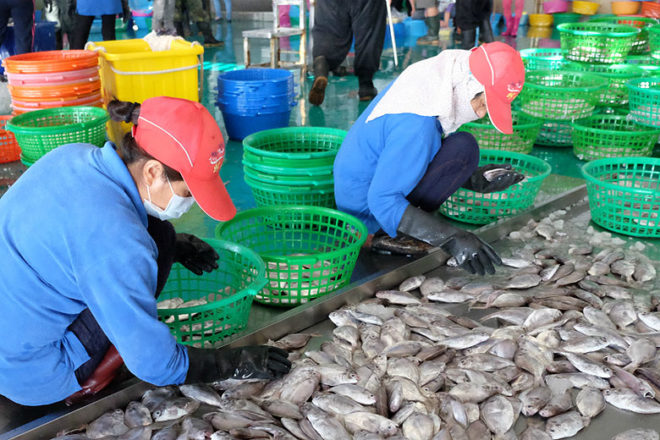 fish-market-step-01