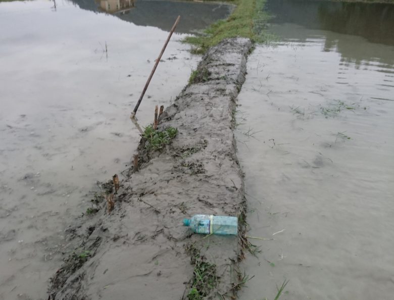 ●2016-02-15 17.12.36