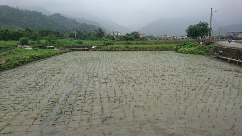 ●2016-04-09 12.32.02(小)