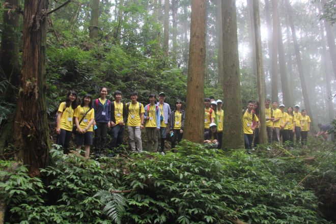 踏訪杉林步道,深呼吸,感受土地、自然與萬物的共生。
