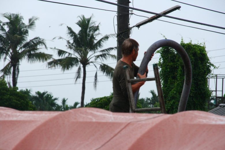 亞陞畜牧場工作人員收起明管,但是豬照養、廢水還是照排。何時排?等稽查人員走了就知道。