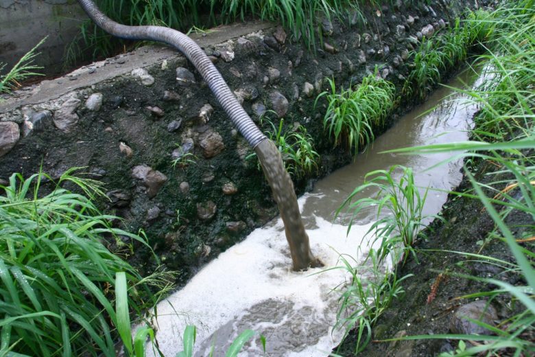 豬屎豬尿直接排進水溝造成嚴重汙染。