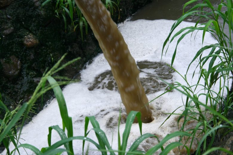 沒有經過處理的豬屎豬尿就這樣排進水溝。