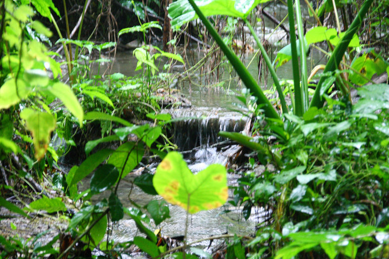 %e5%bb%ba%e5%8a%9f%e6%9d%91%e7%9a%84%e7%a7%98%e5%af%86%e6%b9%a7%e6%b3%89%ef%bc%8c%e6%b0%b4%e8%b3%aa%e6%b8%85%e6%be%88%e7%94%9f%e6%85%8b%e8%b1%90%e5%af%8c%e3%80%82