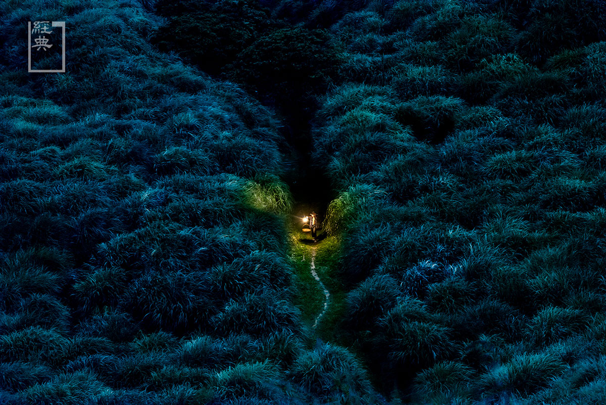 古早時候,來自金山的挑魚人夜間走山路趕赴士林早市,全民步行年代,大路只是眾人踩踏出來的羊腸小徑,卻攸關生計。三百多年來,金包里大路有過狩獵、迎娶、採硫、擔茶、趕牛等活動,是北台灣古道中,遺跡最豐富,保留原始路段最長的庶民道路。