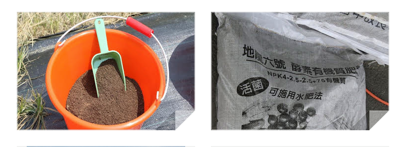 圖片提供/農改場