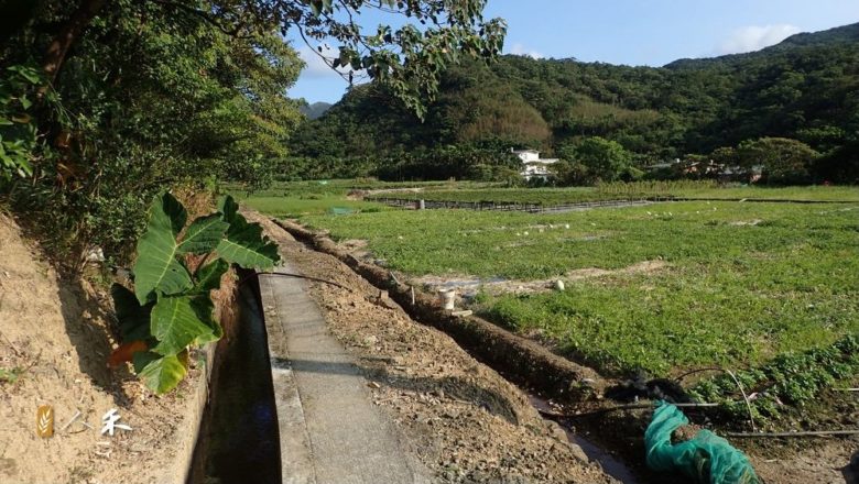 東北角的夏季練習題