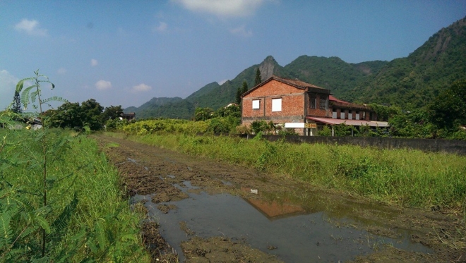 菸樓菔菜