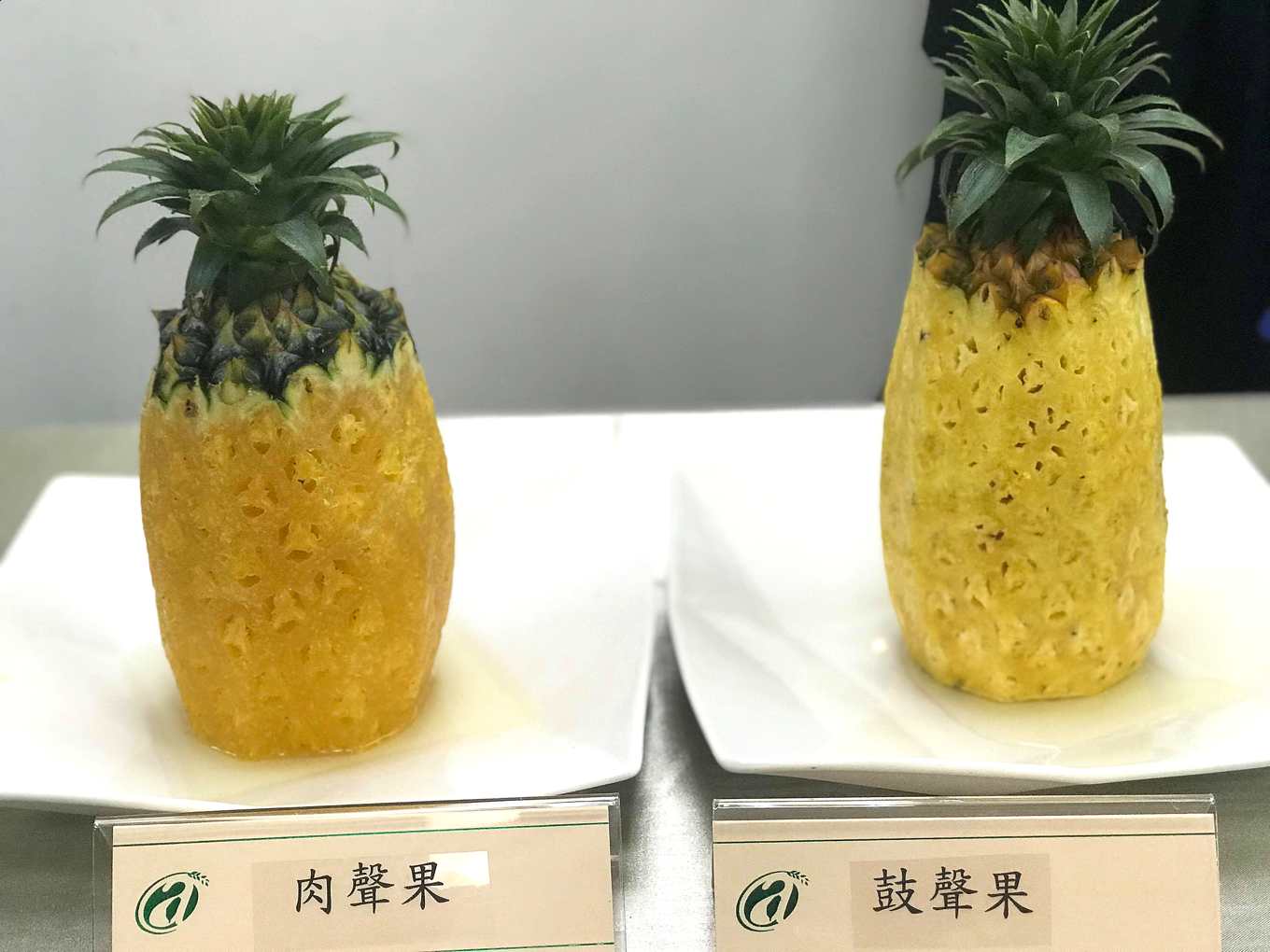 鳳梨到底誰跌價 豪雨後肉聲果次級品大增 每公斤8元收購 上下游news Market