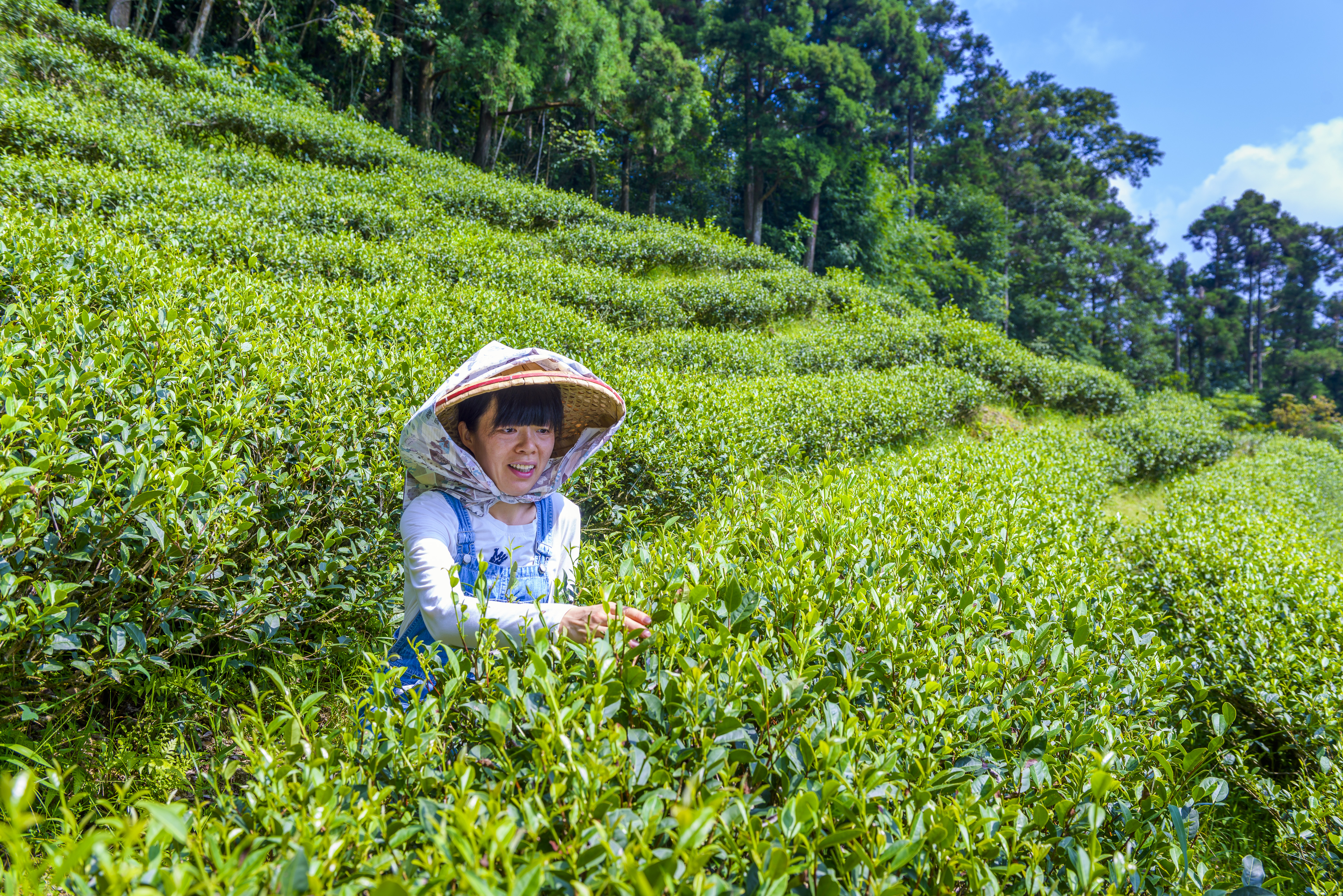 吳瑞曦