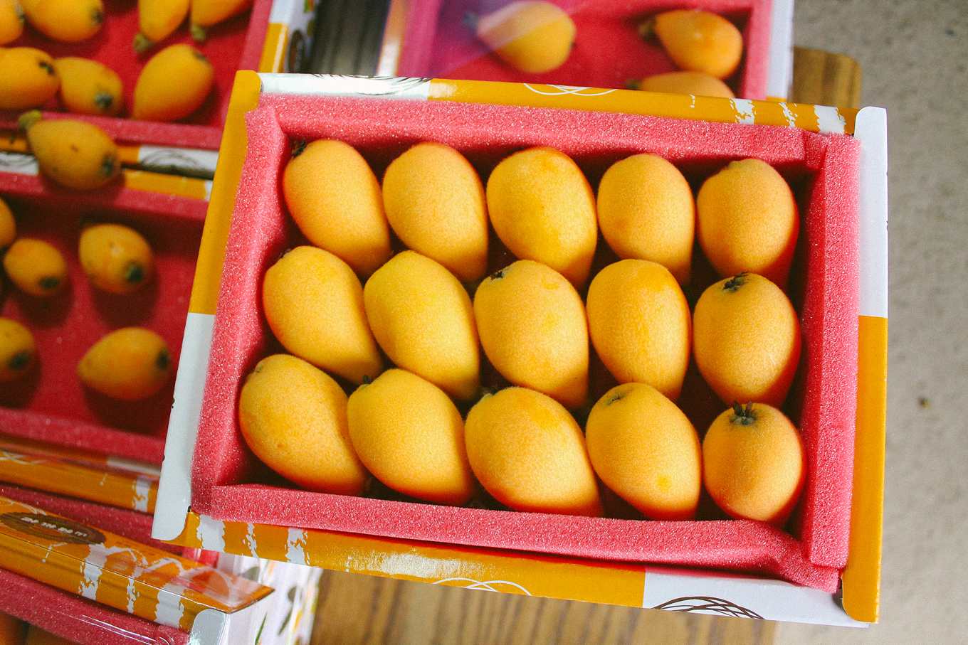 山豬枇杷之斜槓人生 半夜三點起來拚 不用農藥枇杷依然嬌嫩 上下游news Market