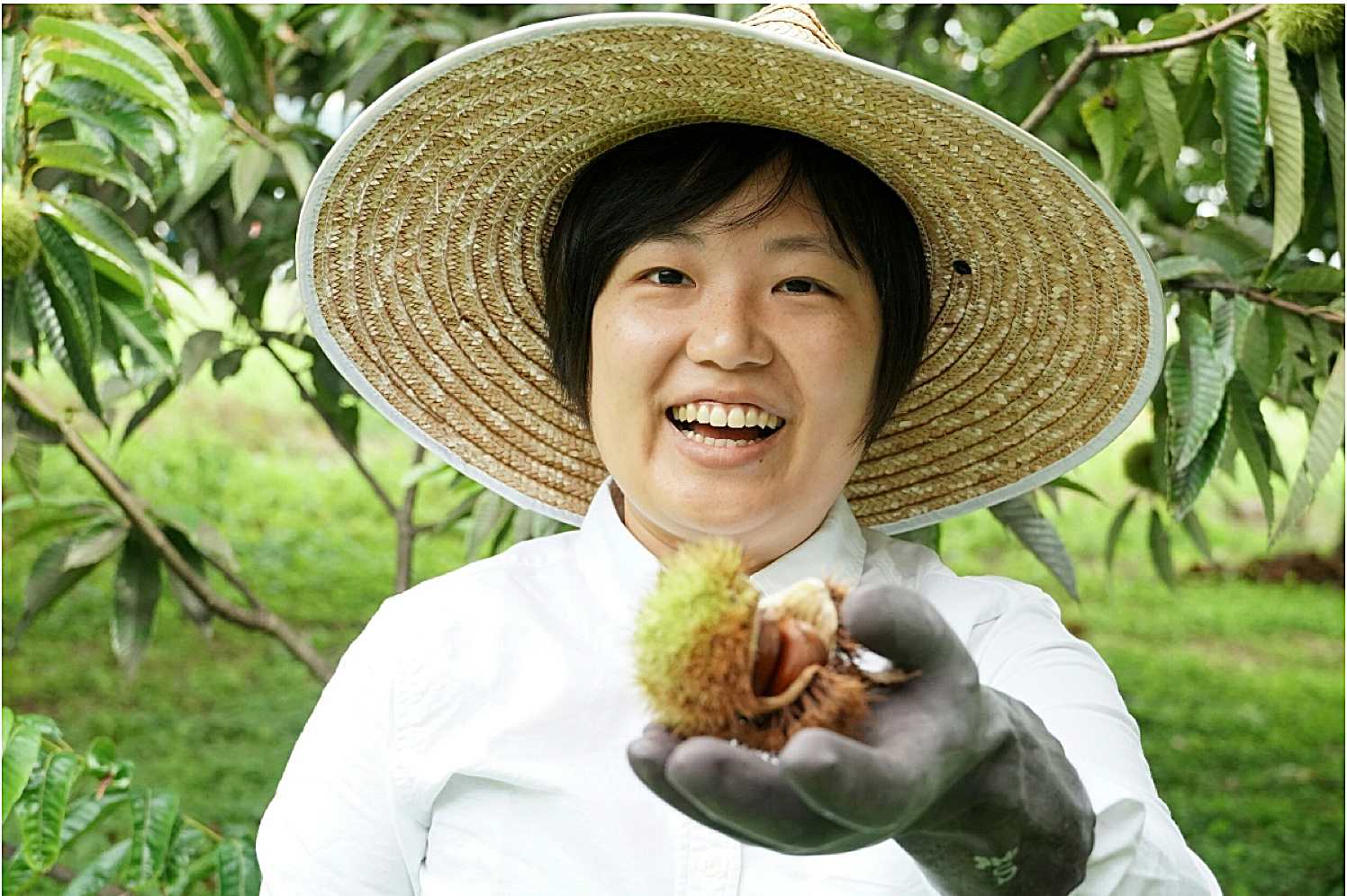 鄉村與地方創生19 笠間市長山口伸樹 改變居民意識最困難 地域振興協力隊帶入新視野 上下游news Market 鄉村與地方創生19 笠間市長山口伸樹 改變居民意識最困難 地域振興協力隊帶入新視野 上下游news Market