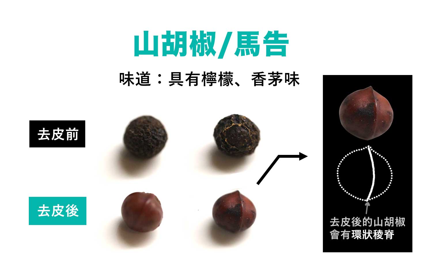 馬告魅力與危機 02》真假馬告怎麼分?黑胡椒混充馬告,品質價格混亂 | 上下游新聞