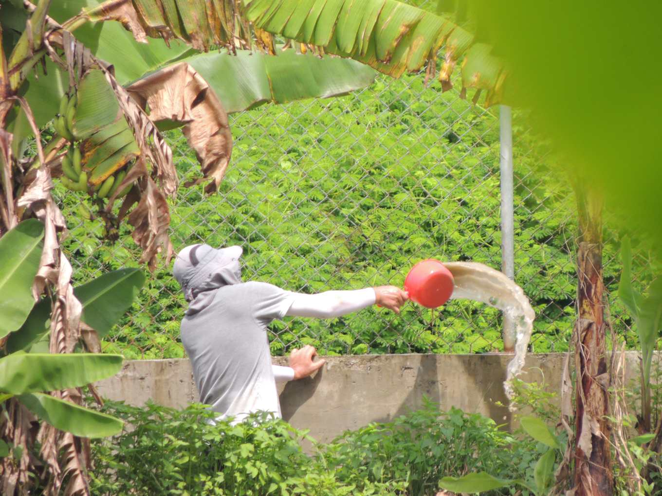 旗山百萬噸爐碴污染農地 奮戰六年無解 污水年年溢出重傷環境 上下游news Market