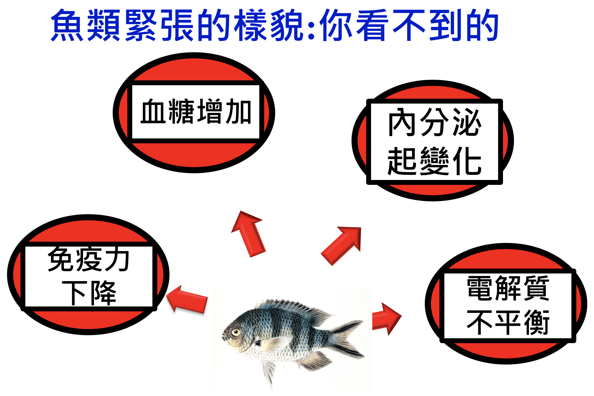 緊張的魚不好吃 首屆 水生動福 研討會 讓魚善終 食物更美味 上下游news Market