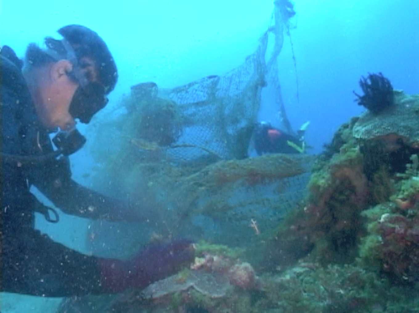 把魚留在海裡更值錢！阿貴船長收起魚槍，帶團潛水清幽靈漁網，讓珊瑚魚群深呼吸| 上下游新聞