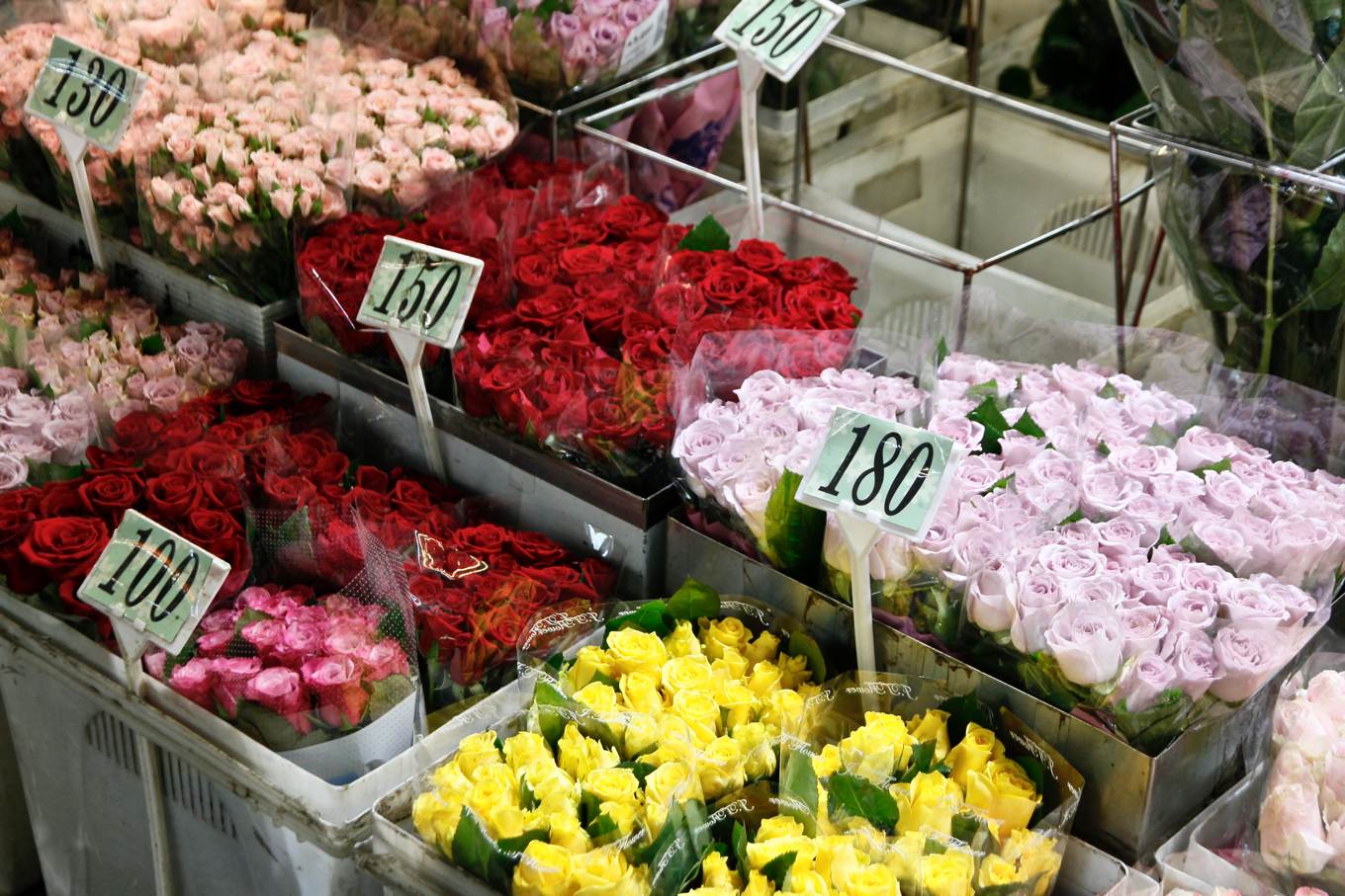 武肺衝擊 國人一年只花300元買花 疫情衝擊之外 消費斷層成花卉產業隱憂 上下游news Market 武肺衝擊 國人一年只花300元買花 疫情衝擊之外 消費斷層成花卉產業隱憂 上下游news Market