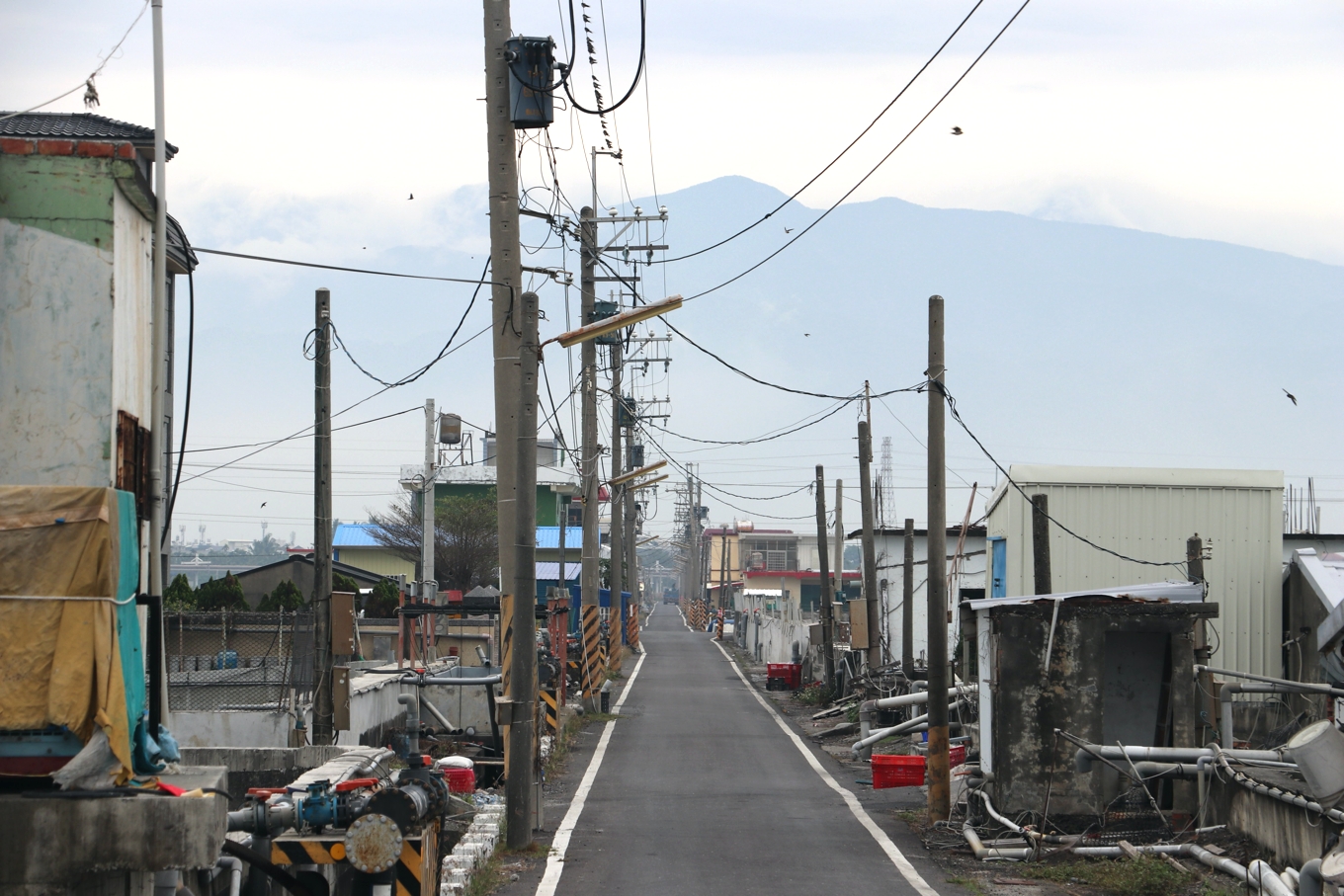 台灣每年進口近3萬噸鮭魚鱈魚 台灣好魚卻得仰賴銷中 佳冬漁二代要翻轉未來 上下游news Market