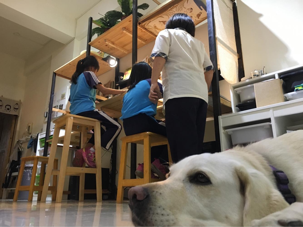 吳明益文學散步到花壇談疫情新小說 獨立書店 有此藝說 激盪在地火花 上下游news Market