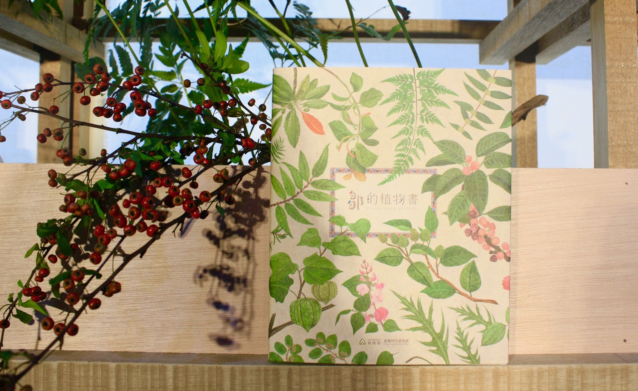 整座森林就是鄒族的圖書館 翻開 鄒的植物書 走進人與植物共構記憶庫 上下游news Market